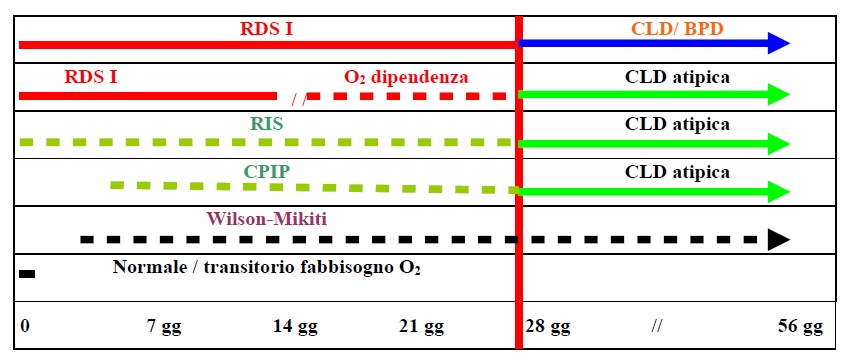 Quadro grafico riassuntivo