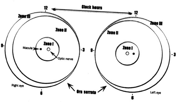 :schema_1.jpg